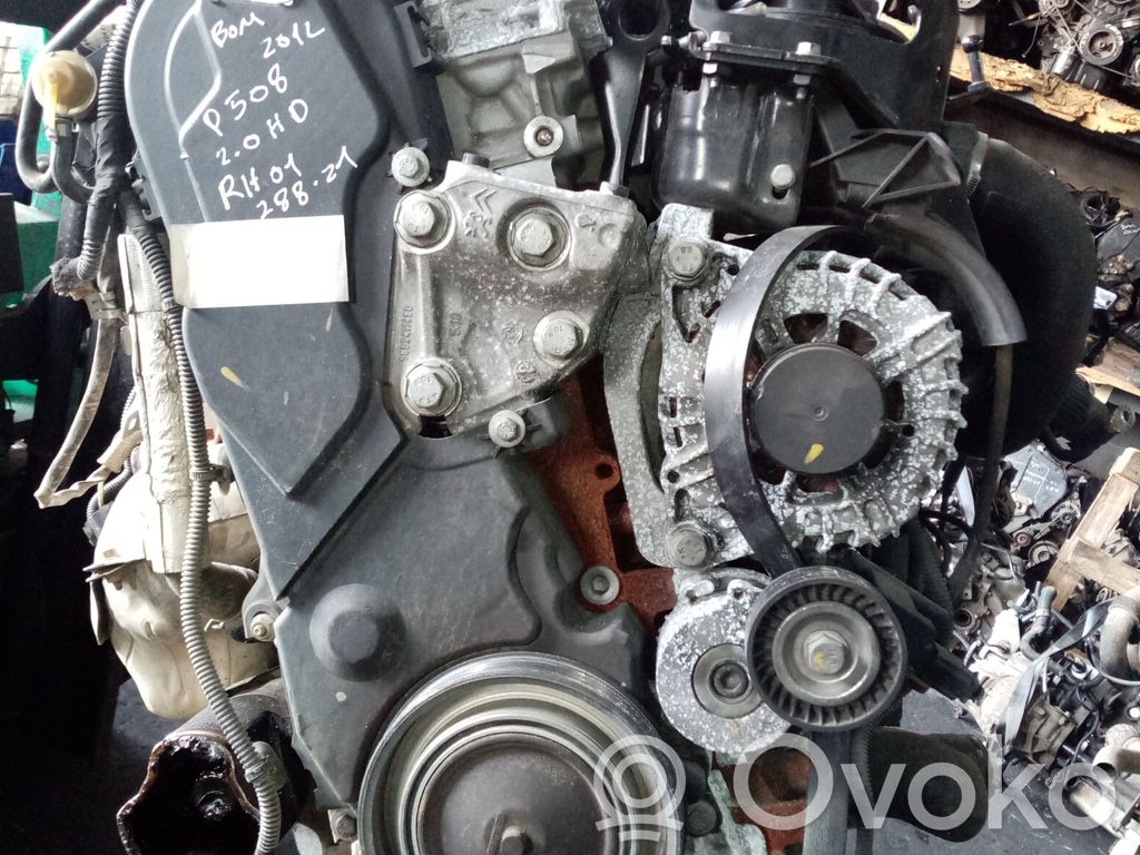 Motor   RH01,BRUNO,DELPHI