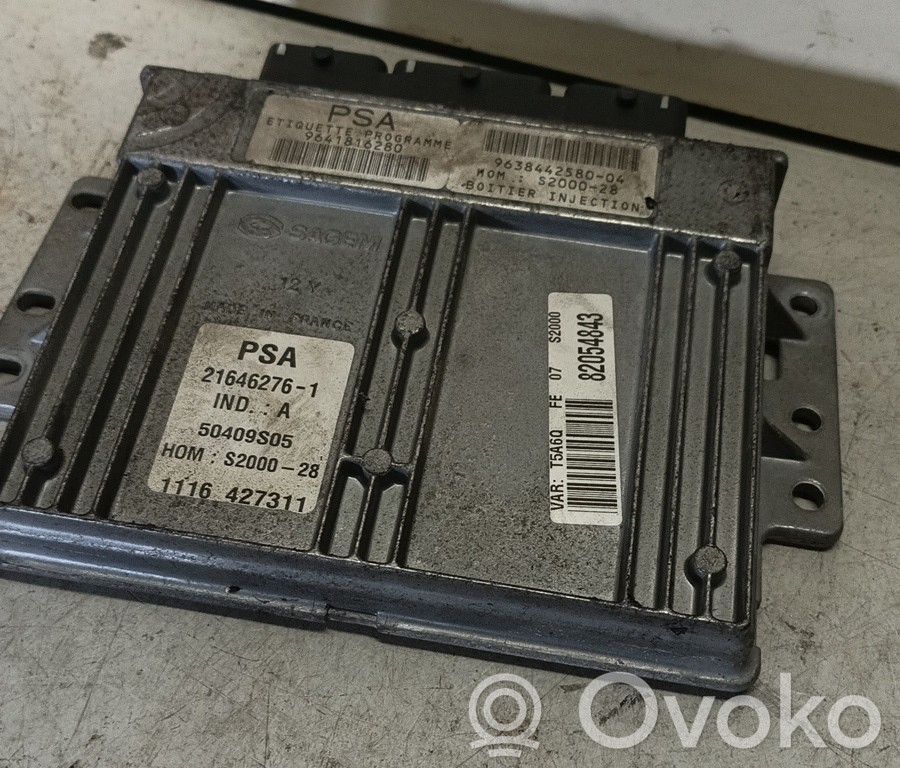 Unidad de control/módulo del motor   9641816280,216462761,BRUNO