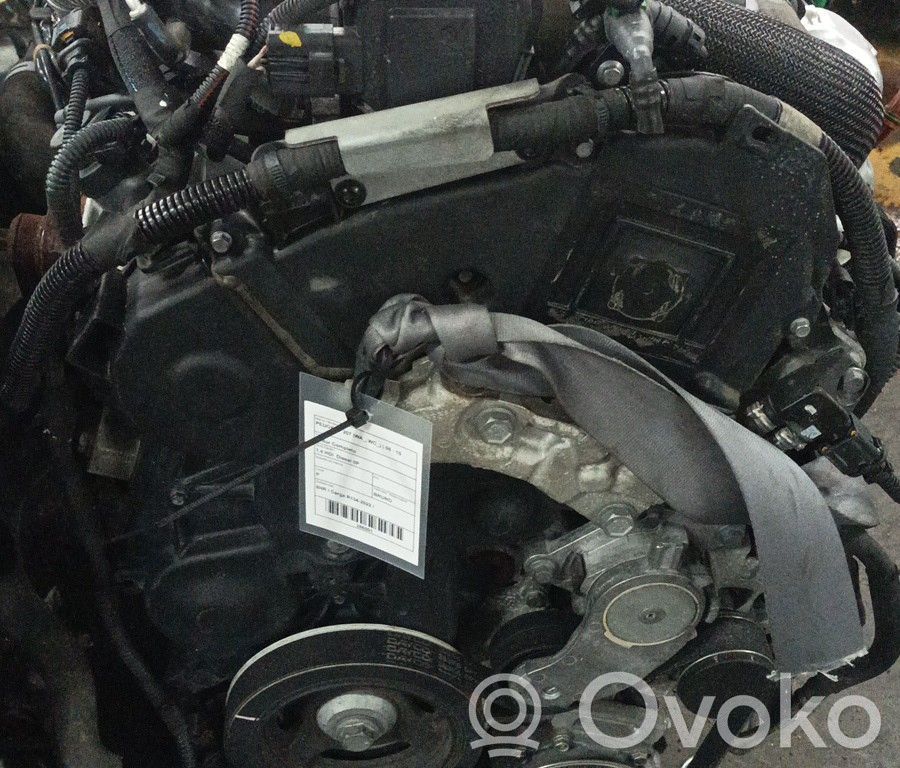 Motor   8HR,BRUNO,CARGAR1342022