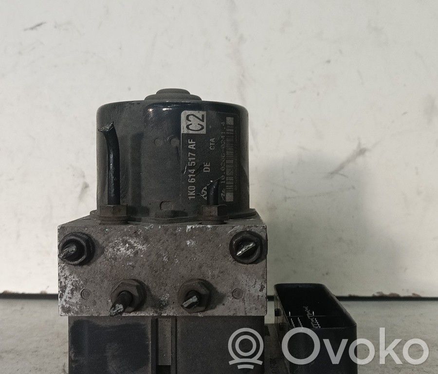 Pompe ABS   10020602414,ZACK