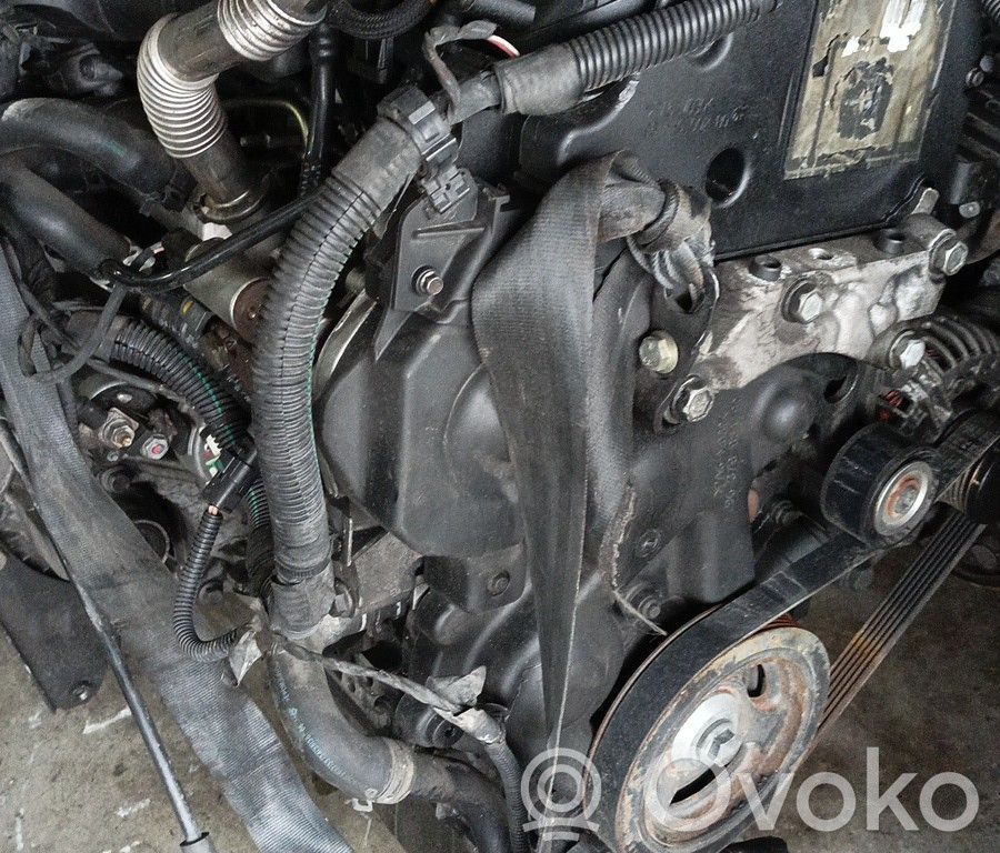 Motor   8HZ,BRUNO,CARGAZ862024