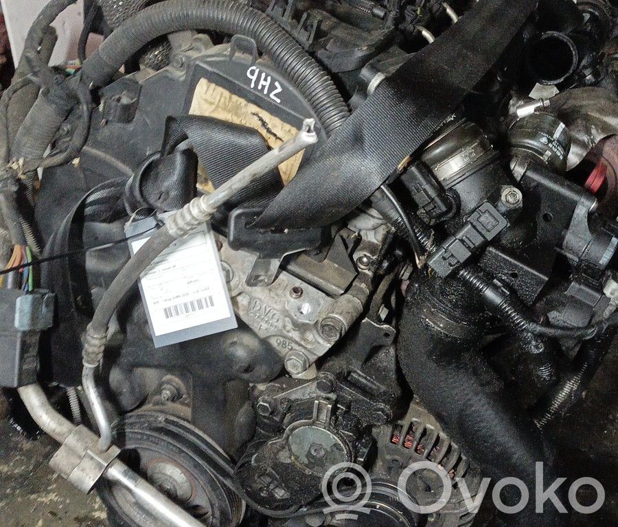 Motor   9HZ,025OUT25,BRUNO