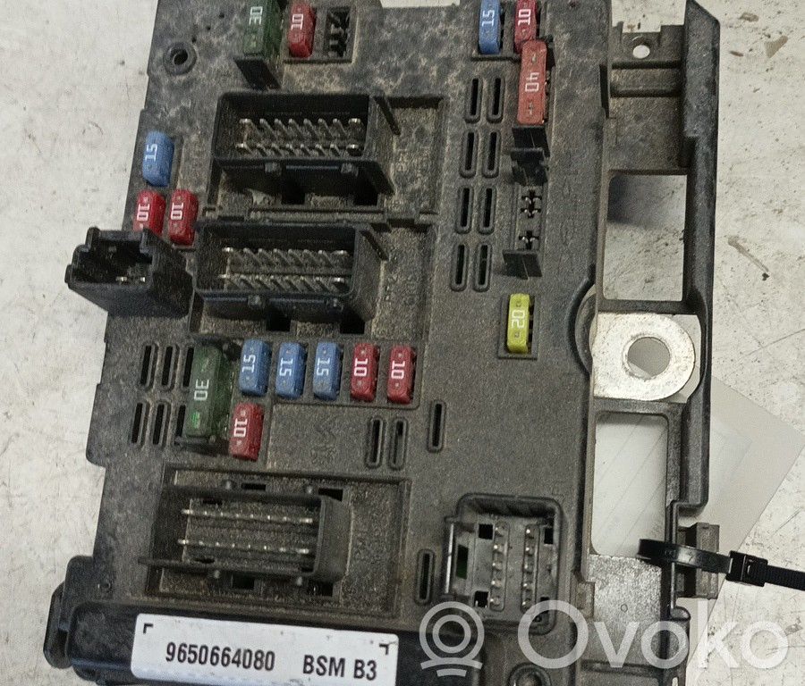 Unidad de control SAM   9650664080,BRUNO,BSMB3