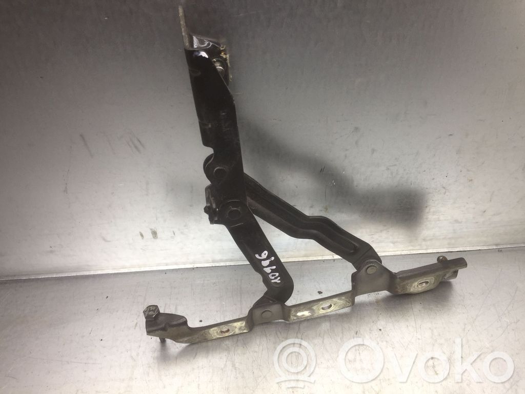 Chrysler 300 - 300C Tailgate/trunk/boot hinge 