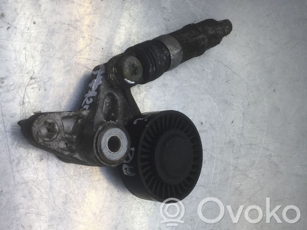 Audi A6 S6 C6 4F Diržo įtempėjas 