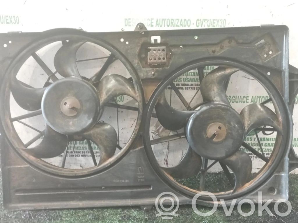 Ford Focus Van-Kühlschrank 
