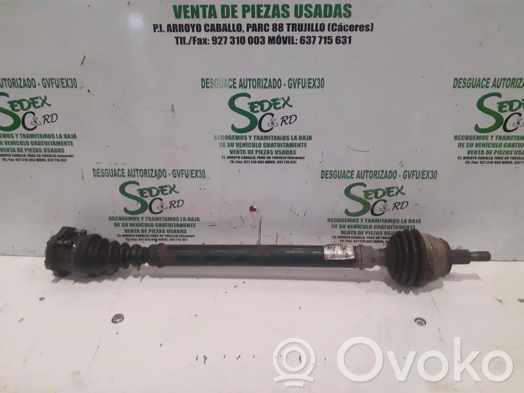Volkswagen Golf V Eje de transmisión (juego) 