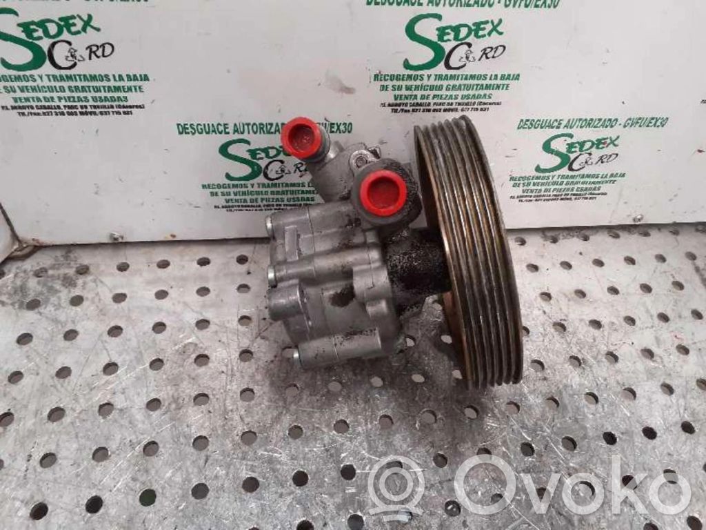 Peugeot 406 Ohjaustehostimen pumppu 