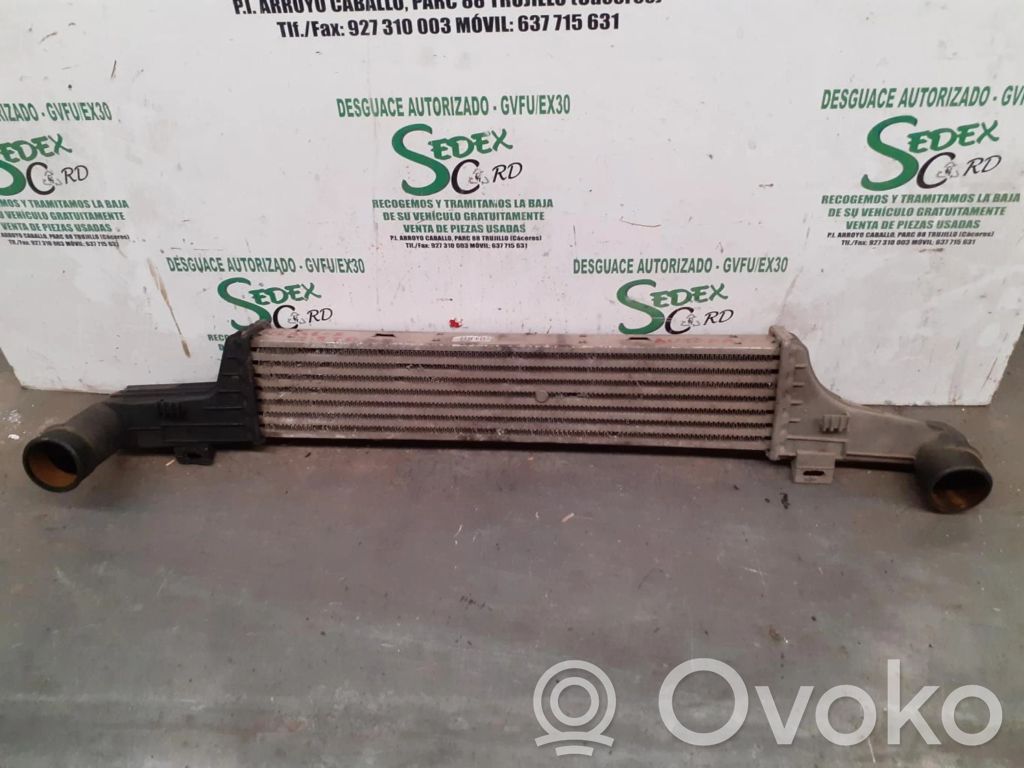 Mercedes-Benz E W210 Intercooler radiator 