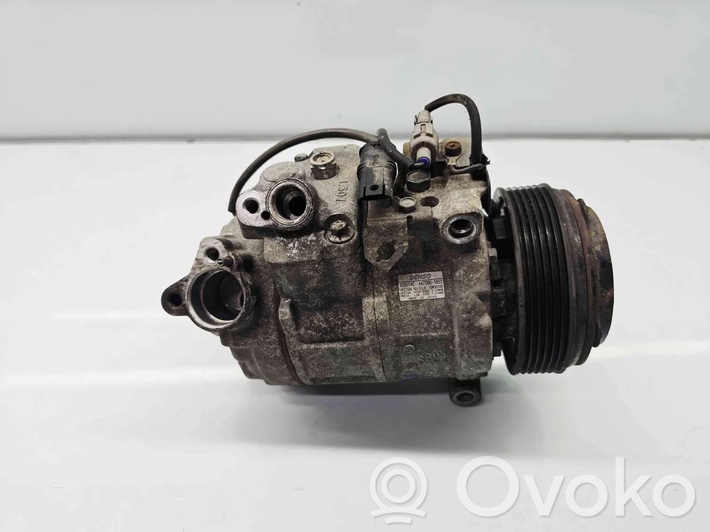 Klimakompressor Pumpe   6987862