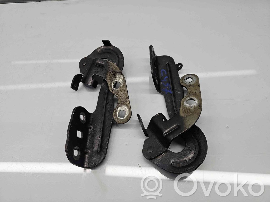 Front door hinges set   MAGNETIC