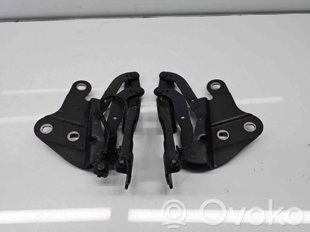 BMW X1 E84 Scharnier Satz Set Tür vorne 