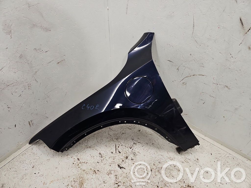 Guardabarro   467MAGICBLUE