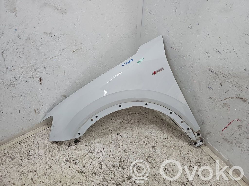 Kotflügel   LS9R