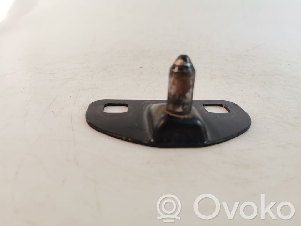 Loading door lock loop/hook striker   8200497819,8200497819