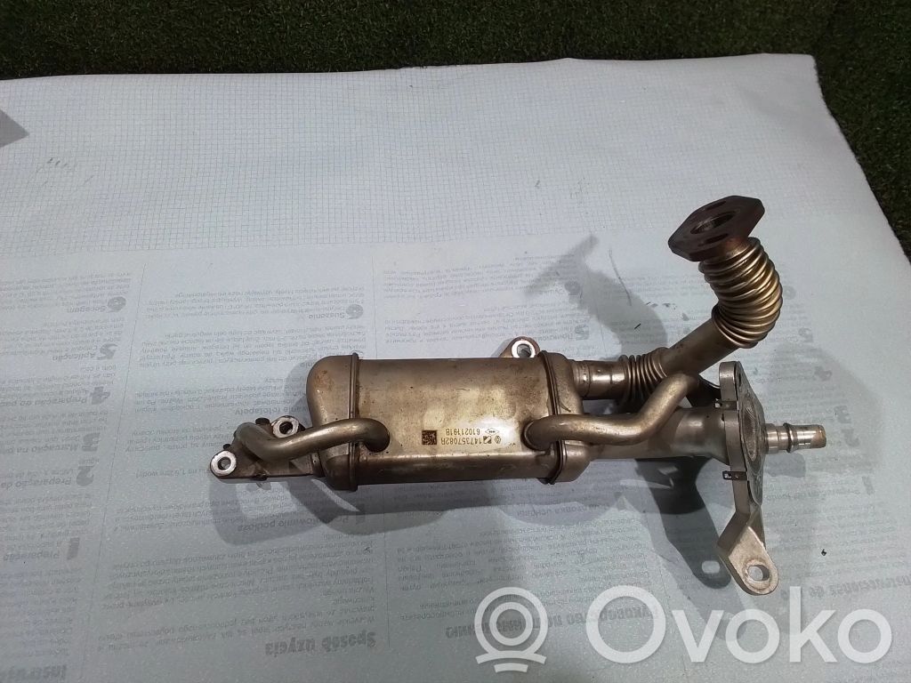 Renault Kangoo II Chłodnica spalin EGR 