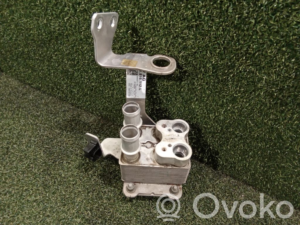 Porsche Cayenne (9Y0 9Y3) Radiator ulei motor 