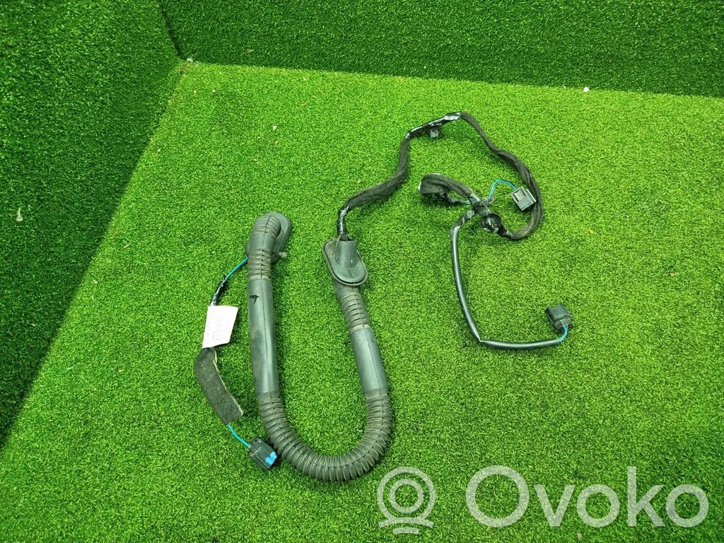 Cableado de puerta trasera   240520004R,C308004R