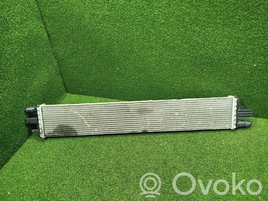 Renault Master III Coolant radiator 