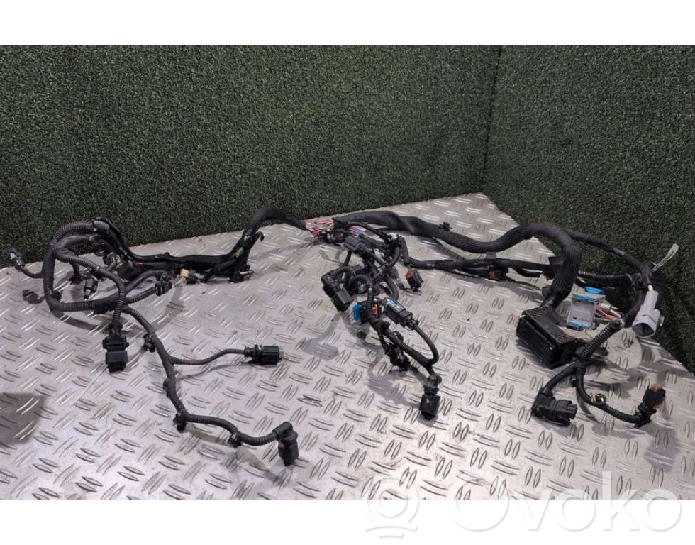 Citroen C4 Cactus Cablaj motor 