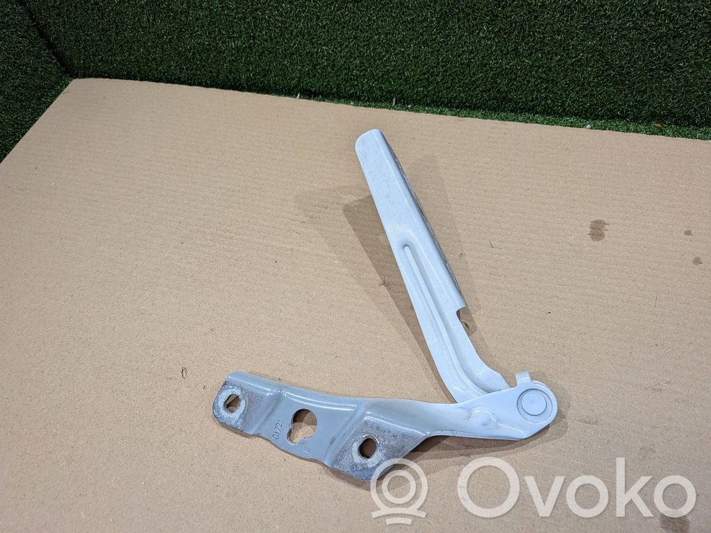 Volkswagen Crafter Cerniere del vano motore/cofano 