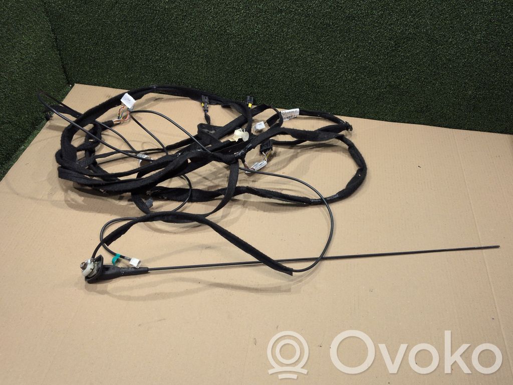 Antena radiowa   282435515R,241443066R,C0678066R,CE1217607R