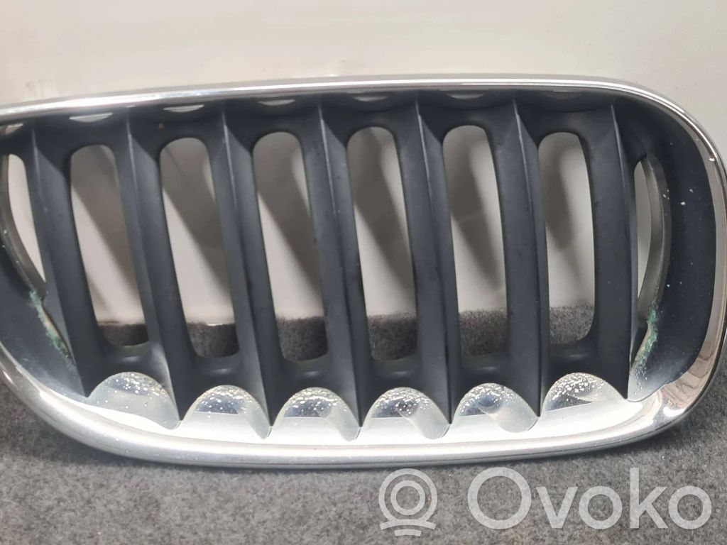 BMW X3 E83 Front grill 