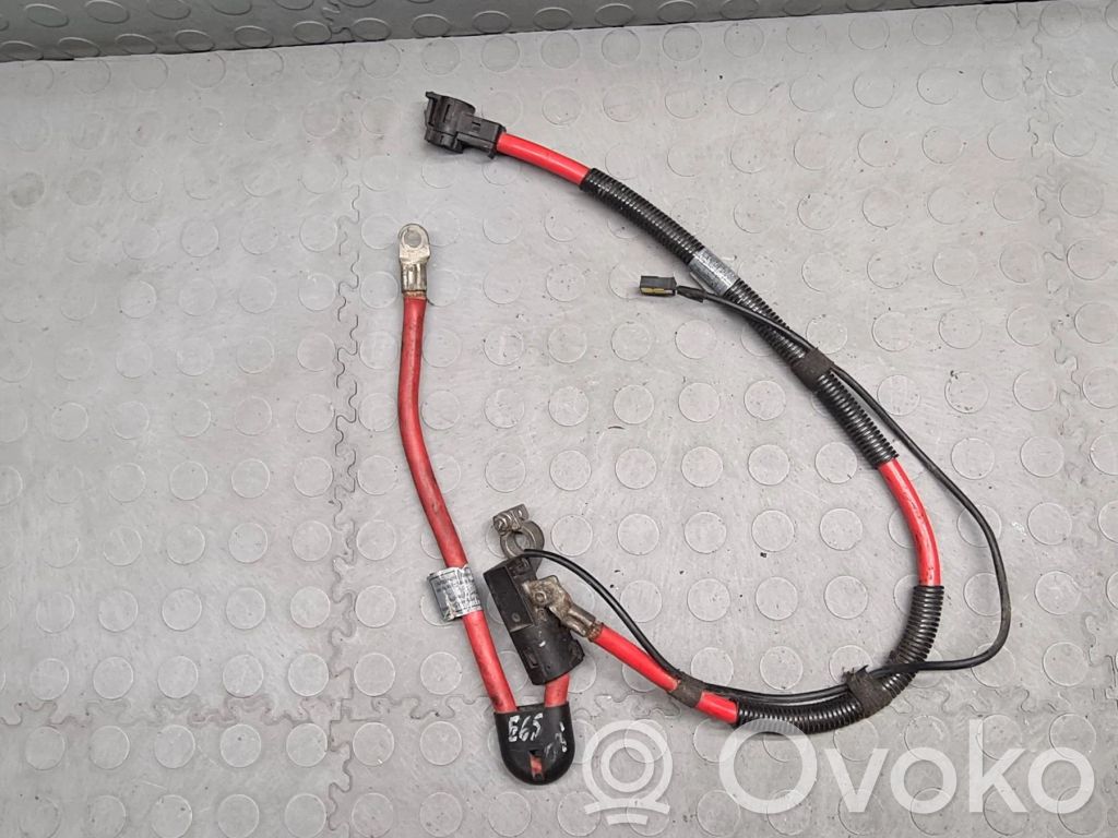 Plusa vads (akumulatora)   6904877