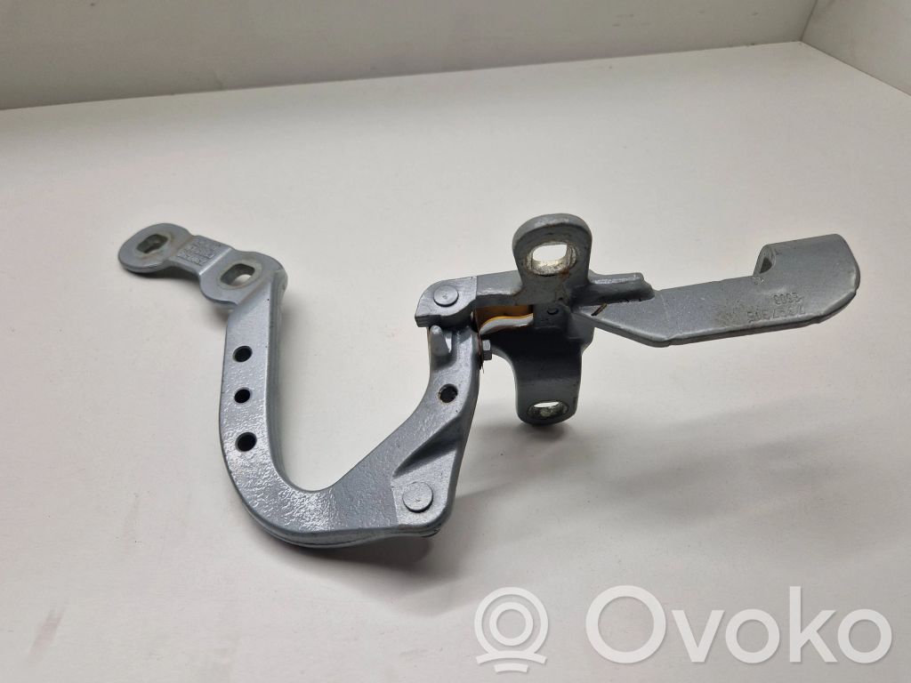 Tailgate/trunk/boot hinge   7397315