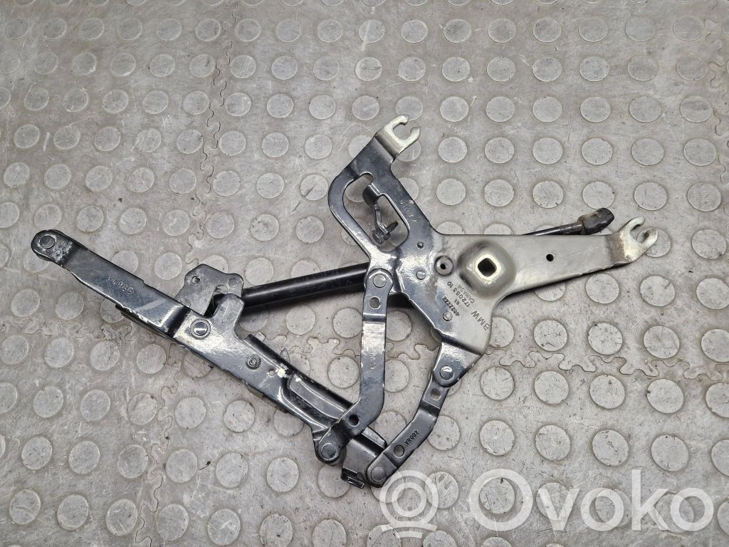 BMW X5 F15 Cerniere del vano motore/cofano 