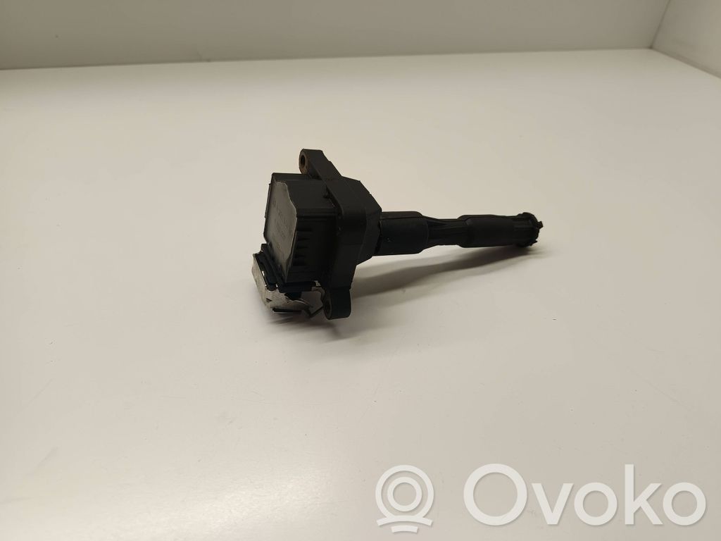 Zündspule Zündmodul   1703227,12131703228,12131703825,12131748017,12131748018,12137599219,12139067830,1748017,1748018,7599219,LR022494,NEC101000L