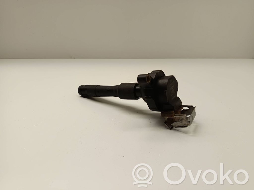 Zündspule Zündmodul   1748017,0221504029,11860T,12131703227,12131703228,12131748017,12131748018,12137599219,12139067830,133804,1404309,1491600300,1703227,1703228,1703825,1748018,1970352,1970413,500960755,7599219,880045B,9067830,GCL307,NEC000020,NEC000040,NEC101000,NEC101000L,NEC101010,ZS302