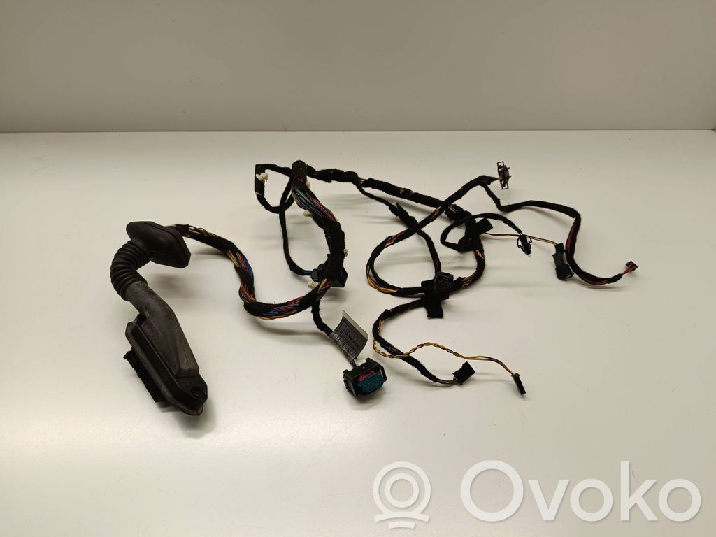BMW X5 E53 Cableado de puerta trasera 
