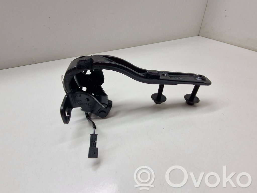 Tailgate/trunk/boot hinge   7296773