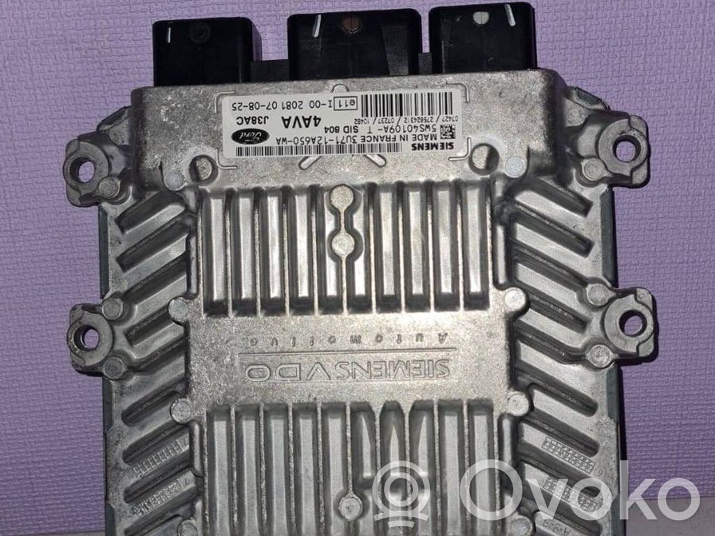 Ford Focus Engine control unit/module 