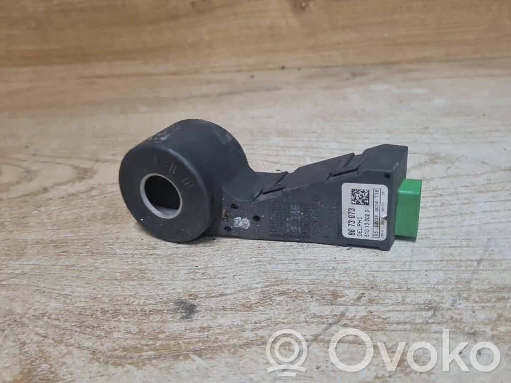 Immobilizer control unit/module   8673073