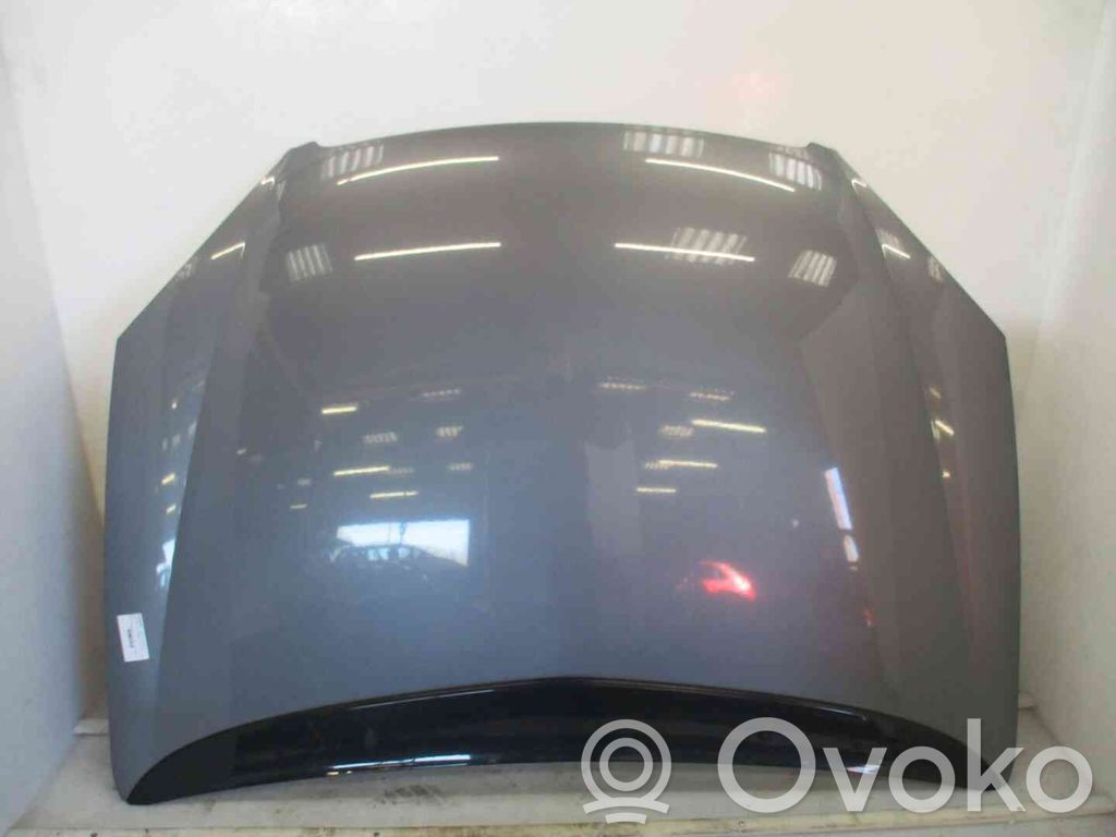 Konepelti   7901H9,21900076,2514762,VDMS4