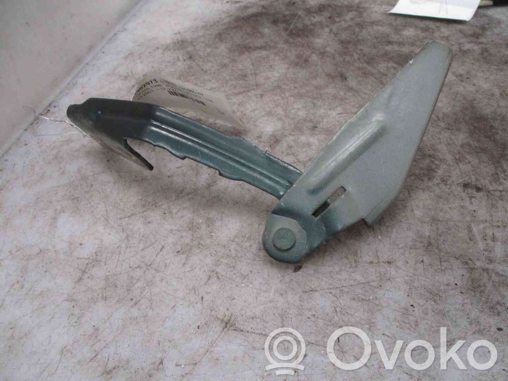 Ford Focus Engine bonnet/hood hinges 