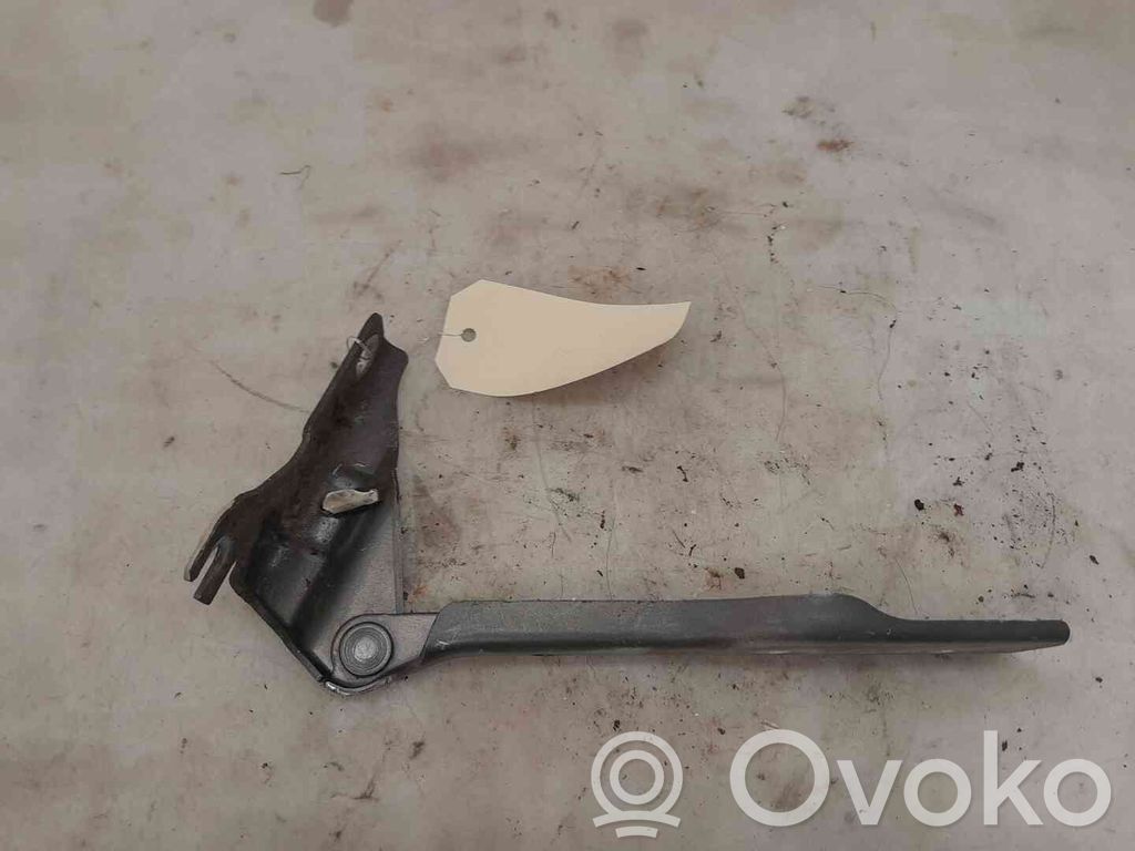 Volkswagen Polo V 6R Balamale capotă 