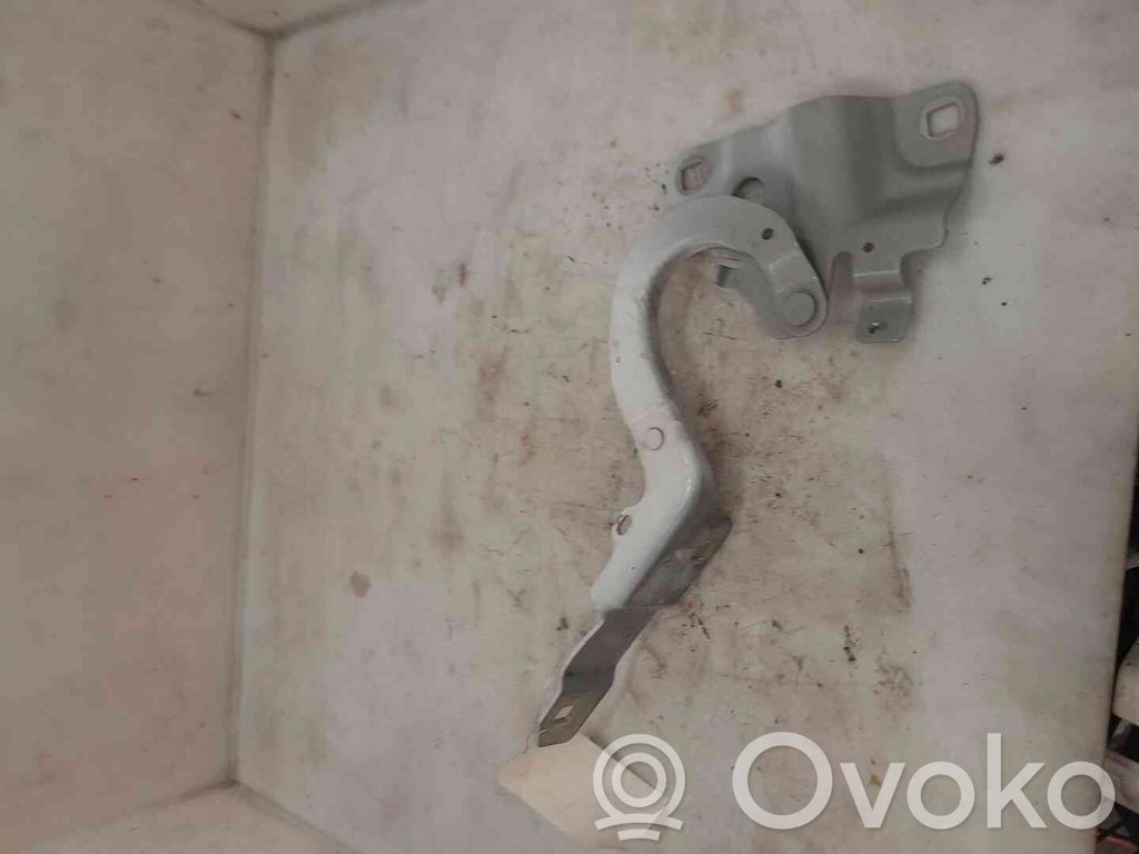 Renault Zoe Cerniere del vano motore/cofano 