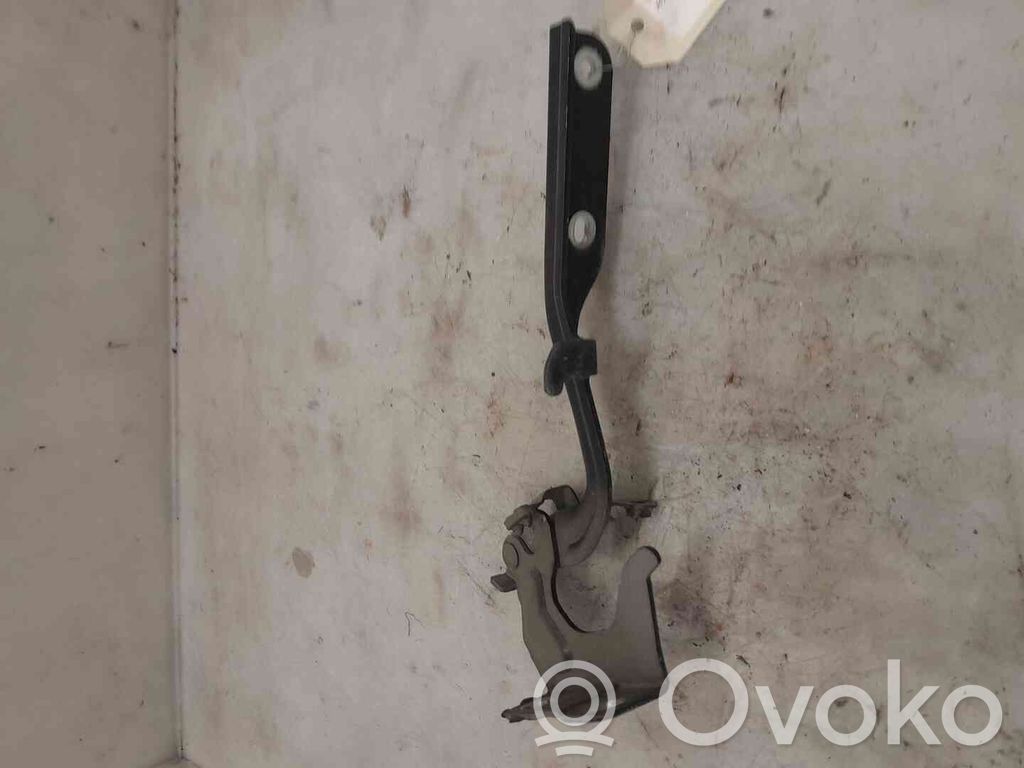 Nissan Juke I F15 Cerniere del vano motore/cofano 