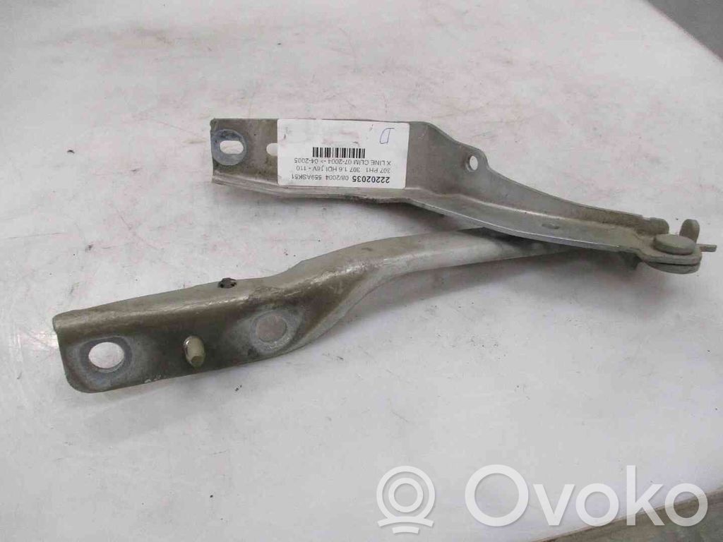Peugeot 307 Balamale capotă 