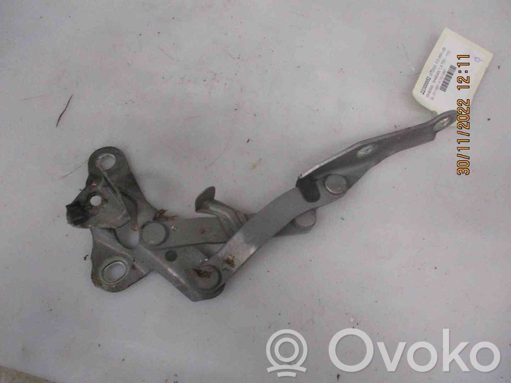 Volkswagen Sharan Balamale capotă 