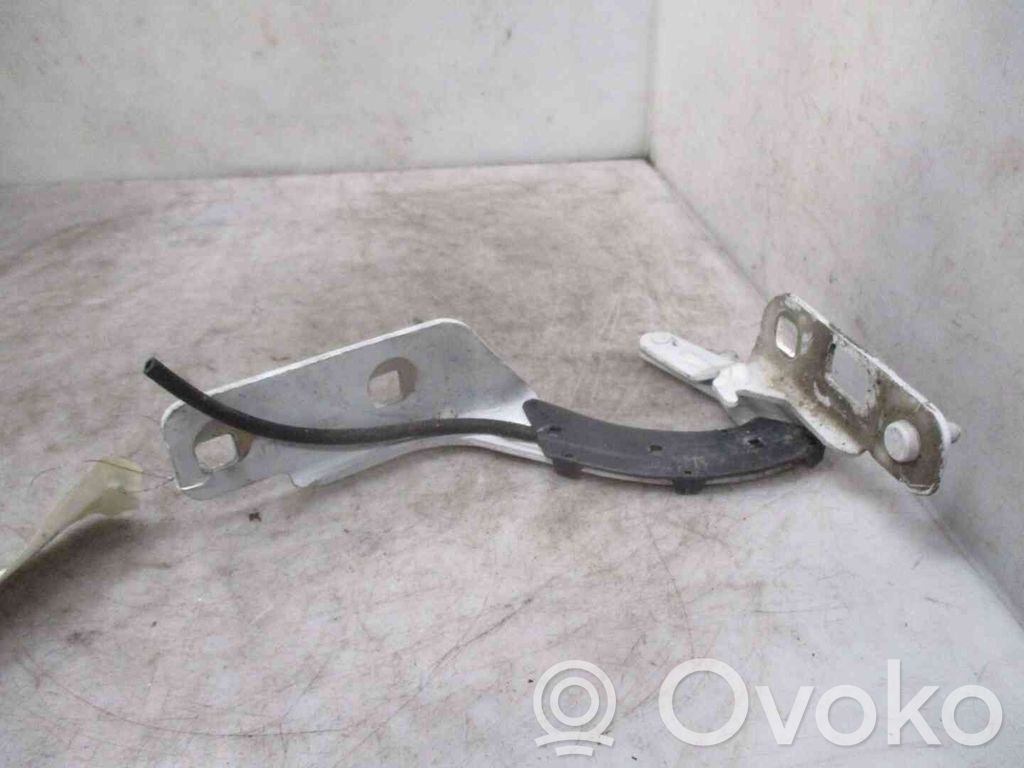 Renault Megane I Balamale capotă 