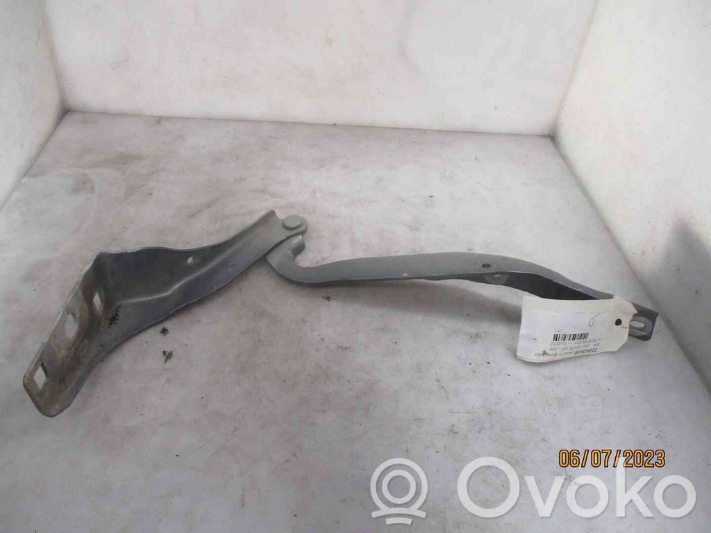 Peugeot 308 Balamale capotă 