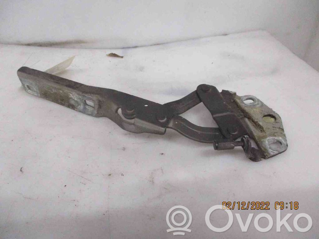 Volkswagen Golf V Cerniere del vano motore/cofano
