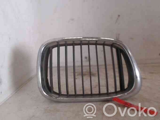 BMW 5 E39 Front bumper lower grill 