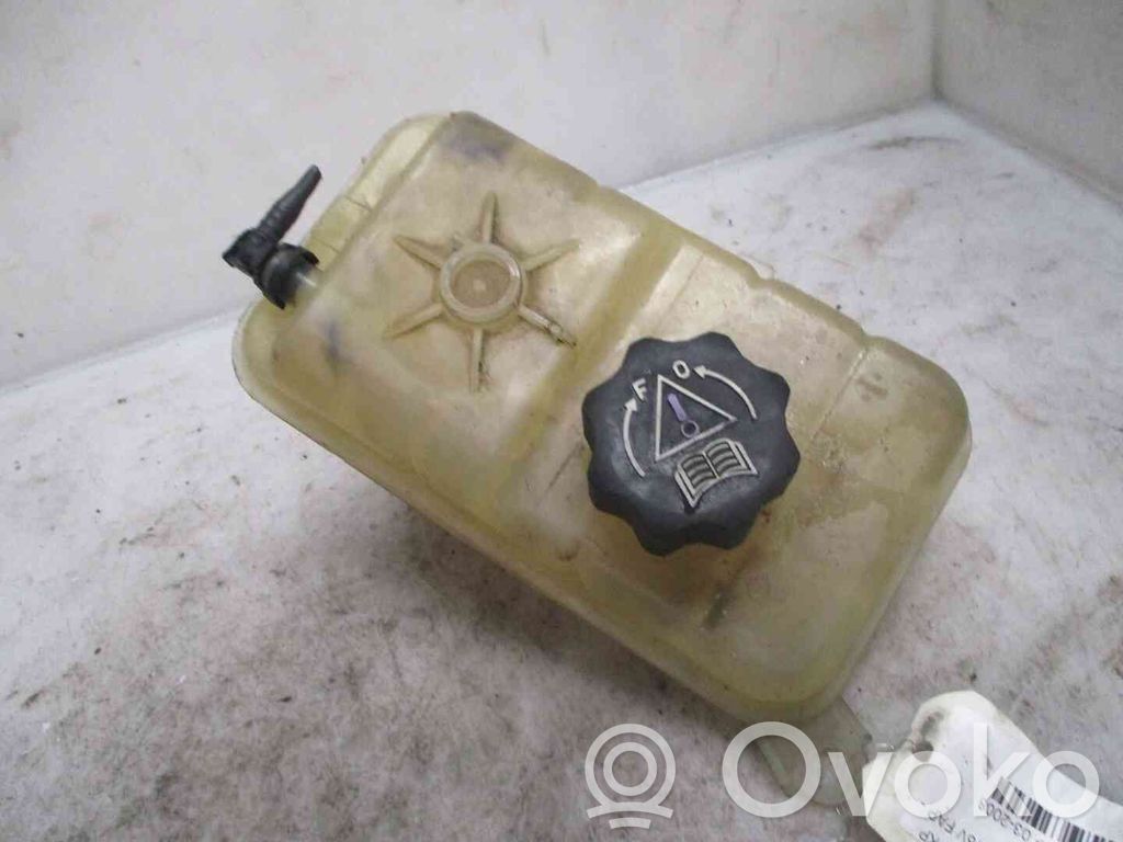 Citroen C5 Serbatoio di compensazione del liquido refrigerante/vaschetta 