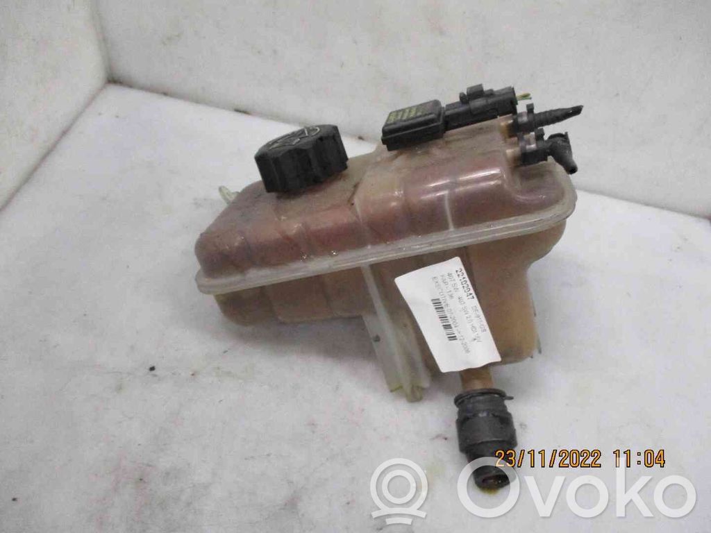 Peugeot 407 Vas expansiune/rezervor lichid de răcire 