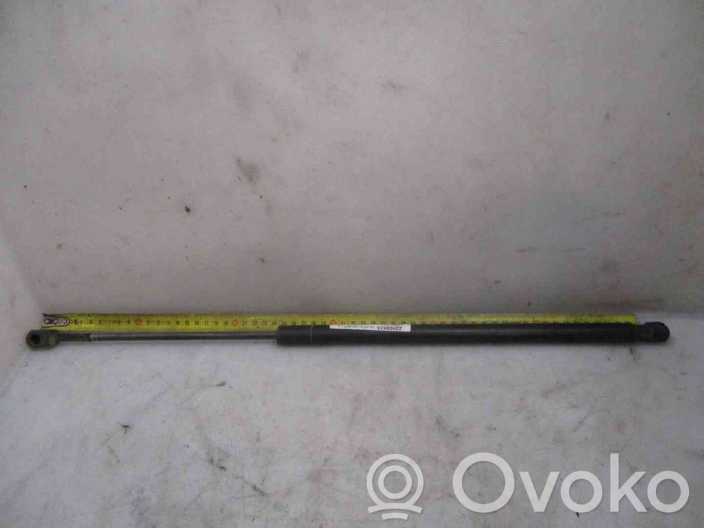 Tailgate/trunk strut/damper   1608899680,22000535,2526749,VDMS4